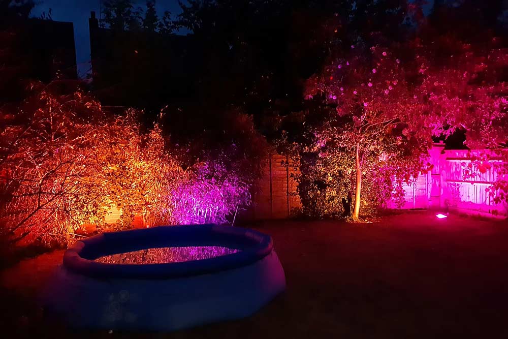 LED uplighters illuminating a garden with lots of colour
